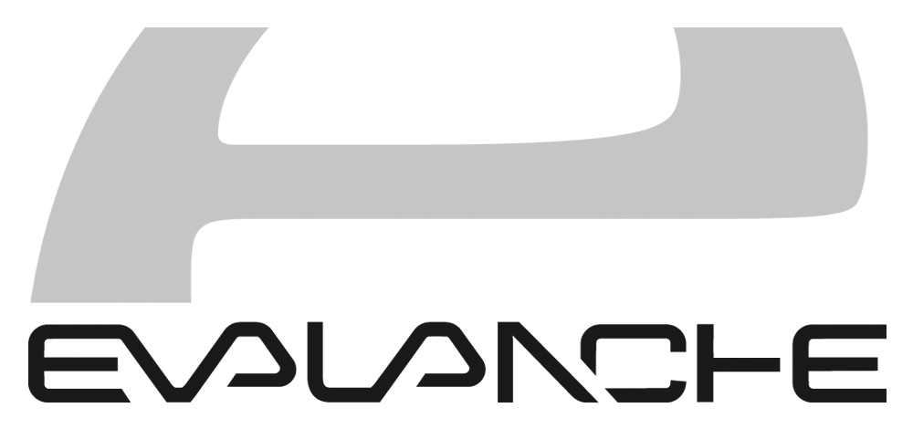 Evalanche Logo Grau
