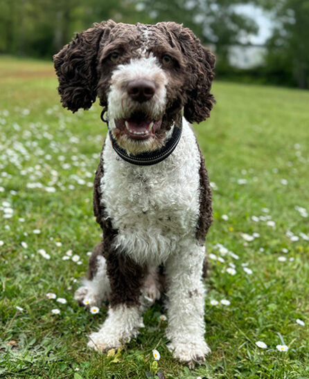 Diego_Mitarbeiter Mitarbeiter Diego