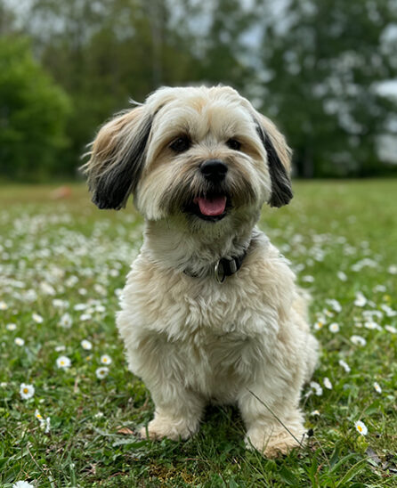 Sherlock_mitarbeiter Mitarbeiter Sherlock