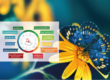 Schmetterling auf einer Blume und daneben ein Foto vom SmartWe Radialmenü