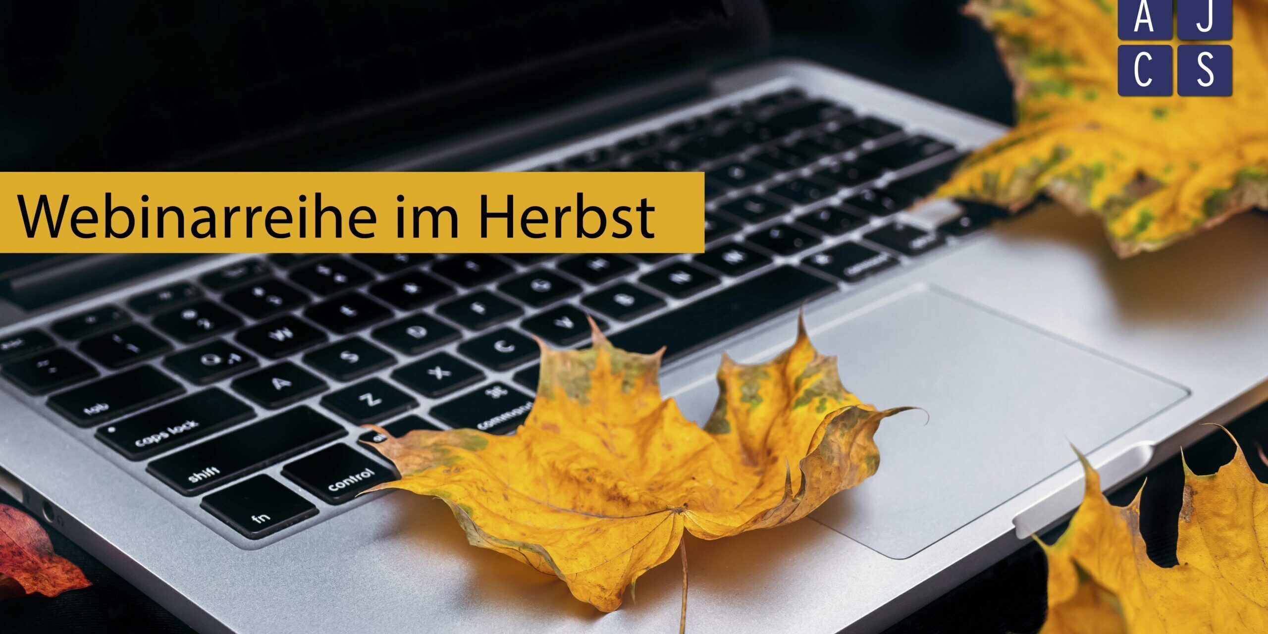 Laptop mit Herbstlaub darauf und Text "Webinarreihe im Herbst"