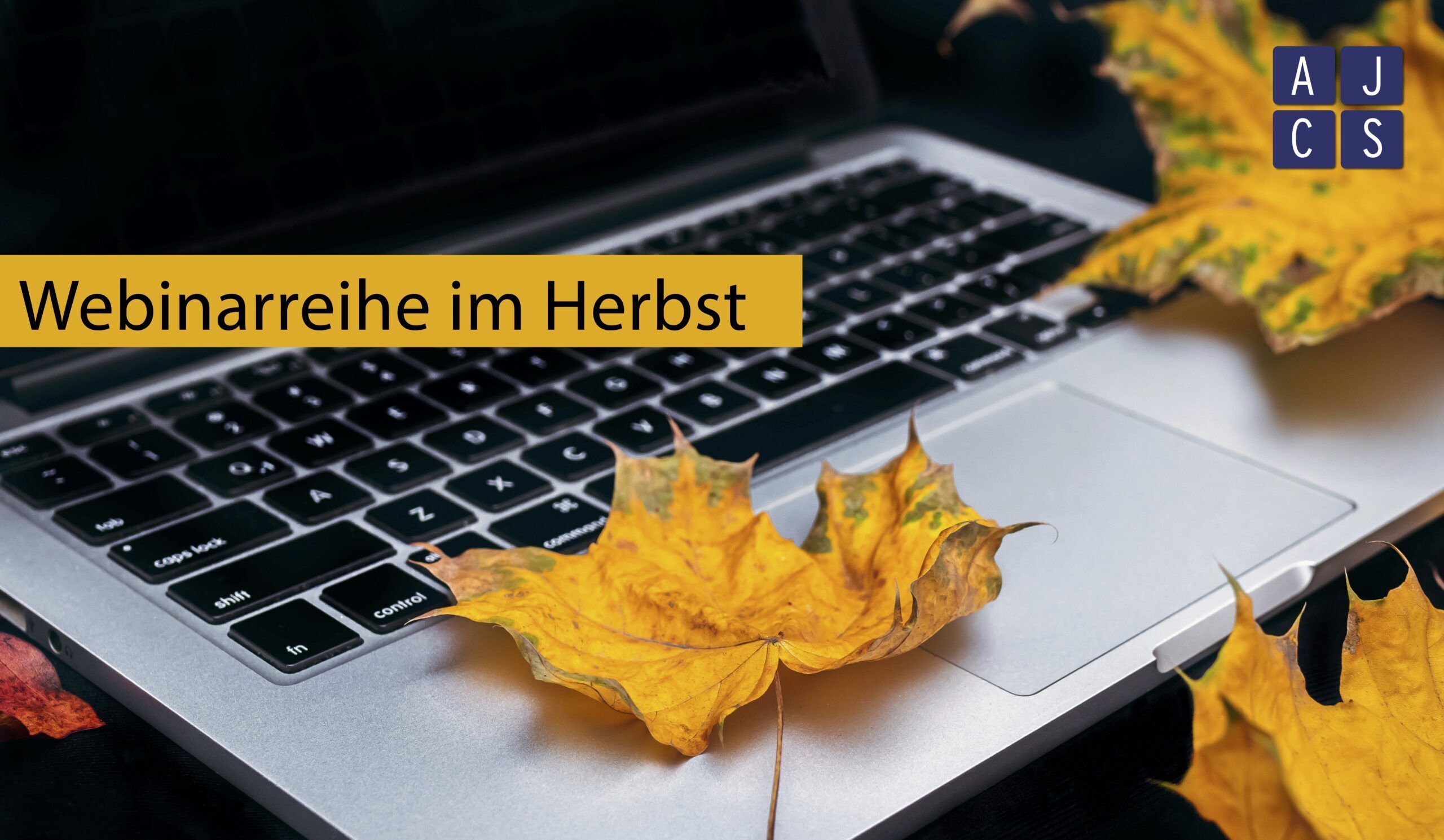 Laptop mit Herbstlaub darauf und Text "Webinarreihe im Herbst"